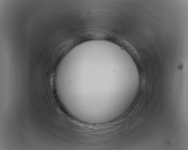 X0000097630026200802290855