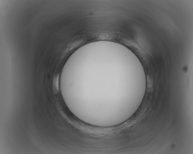 X0000097630028200802290855