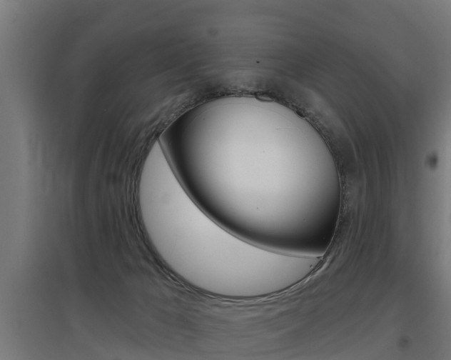 X0000097630029200802290855