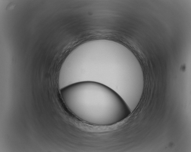X0000097630031200802290855