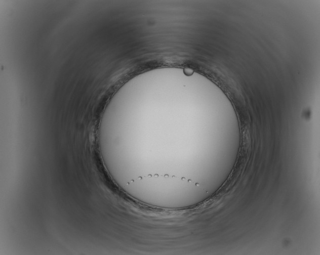 X0000097630032200802290855