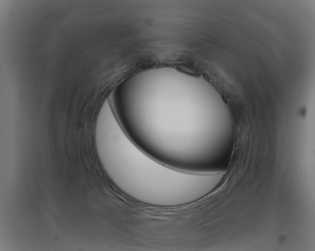 X0000097630033200802290855