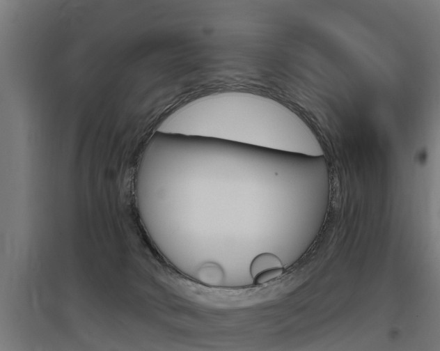 X0000097630034200802290855