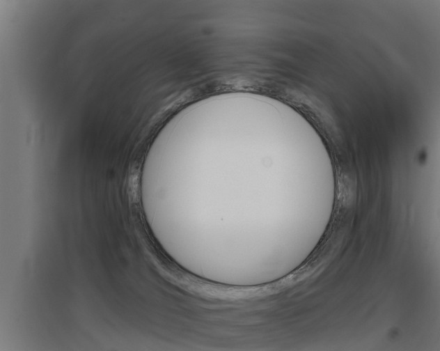 X0000097630036200802290855