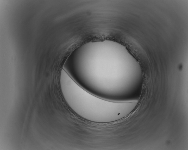 X0000097630037200802290855