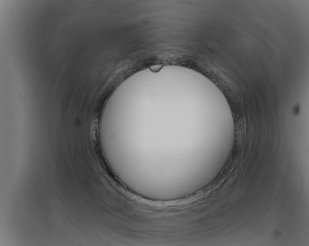 X0000097630038200802290855
