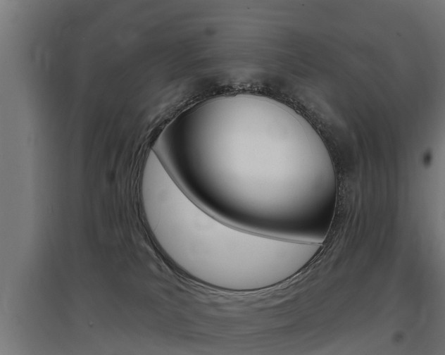 X0000097630039200802290855