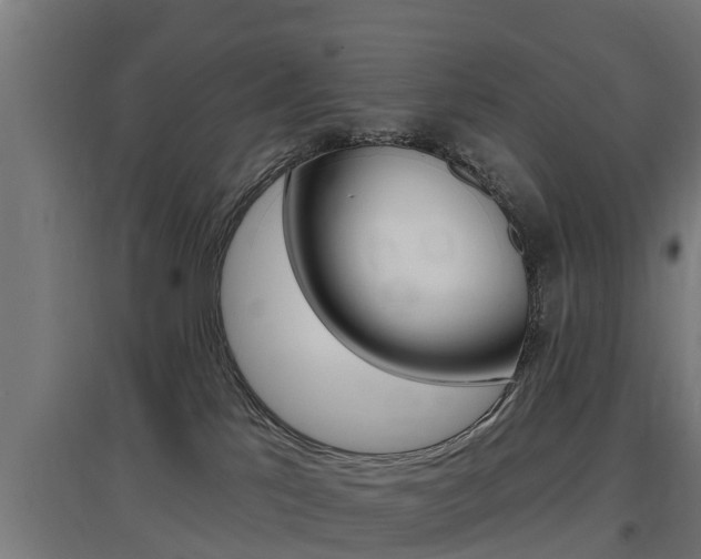 X0000097630041200802290855