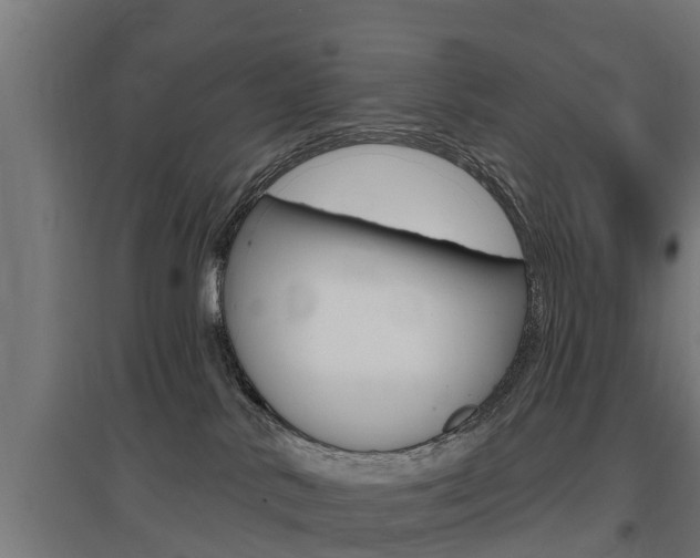 X0000097630042200802290855