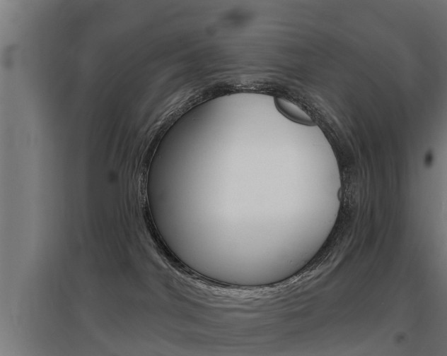 X0000097630044200802290855