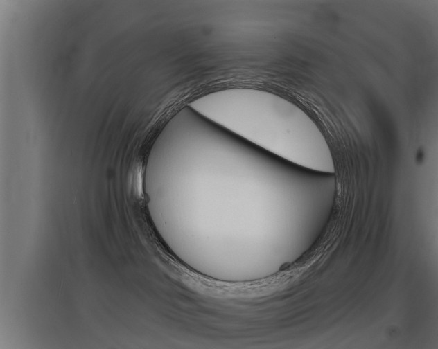 X0000097630046200802290854