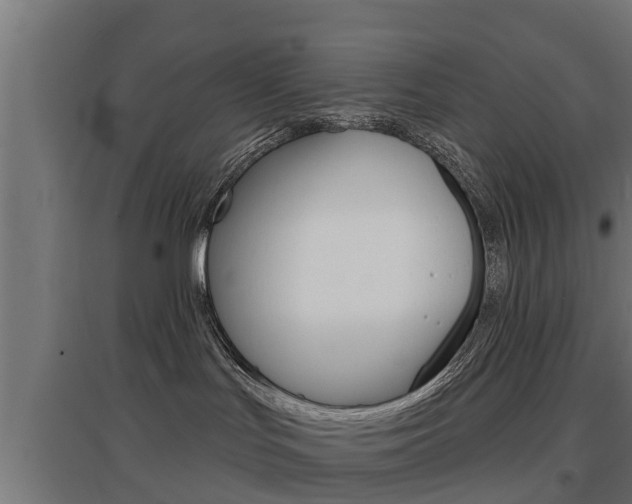 X0000097630047200802290854