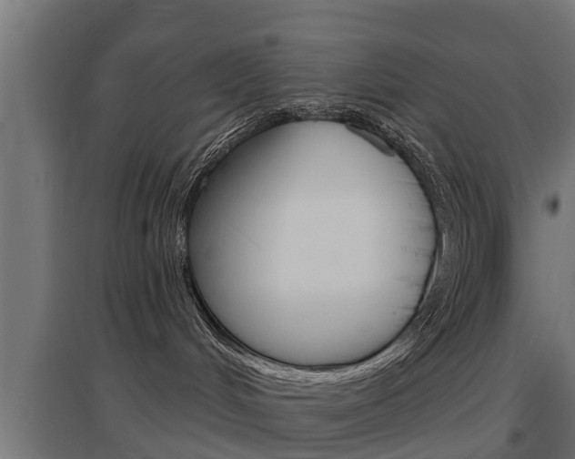 X0000097630048200802290854