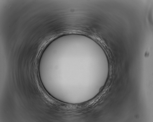 X0000097630049200802290854