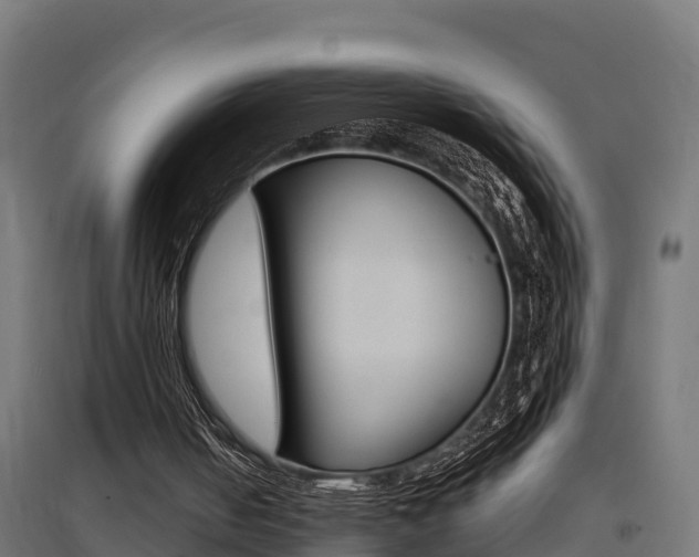 X0000097630050200802290854