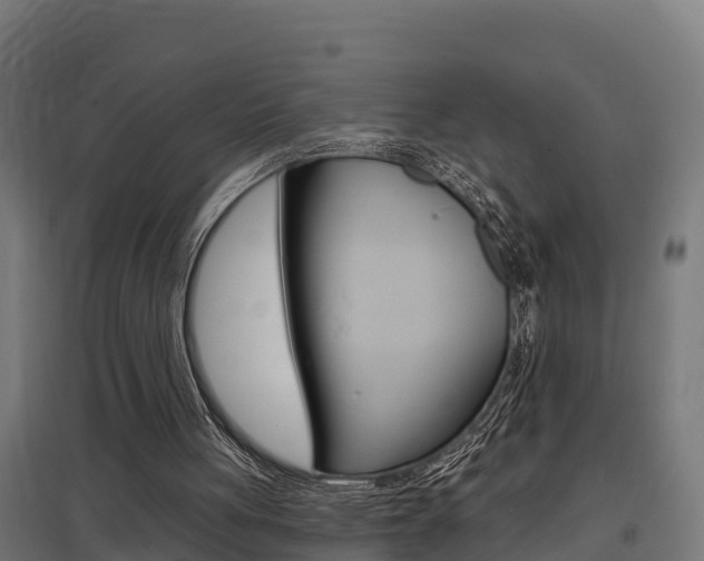 X0000097630051200802290854