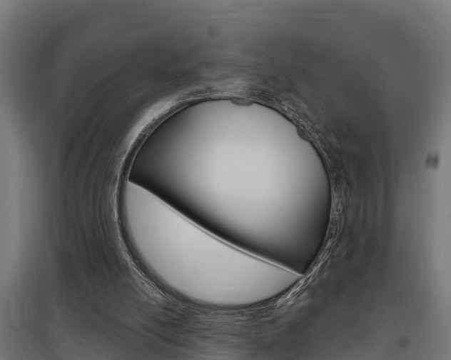 X0000097630054200802290854