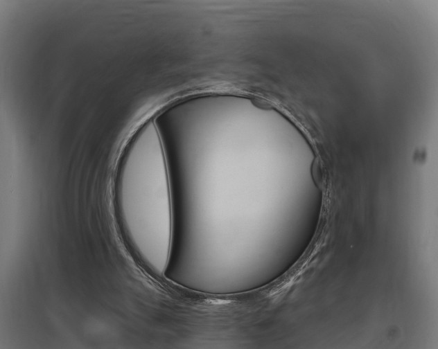 X0000097630055200802290854