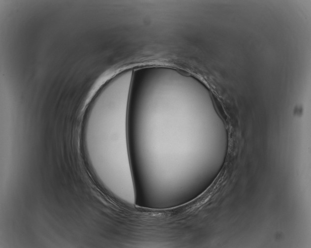 X0000097630056200802290854