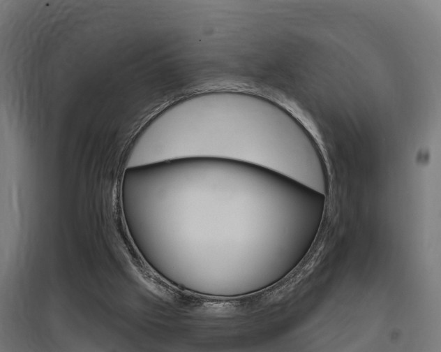 X0000097630057200802290854