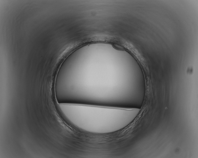 X0000097630058200802290854