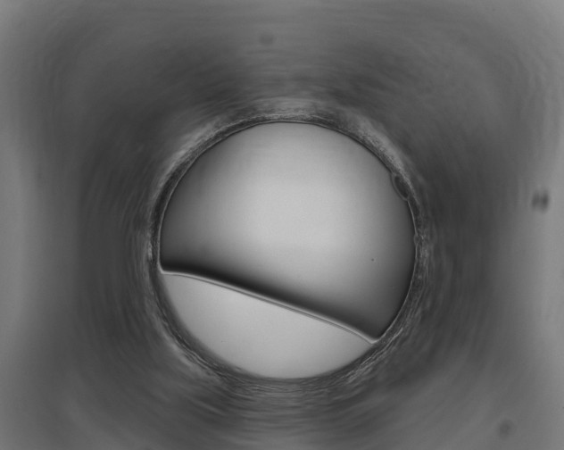 X0000097630059200802290854