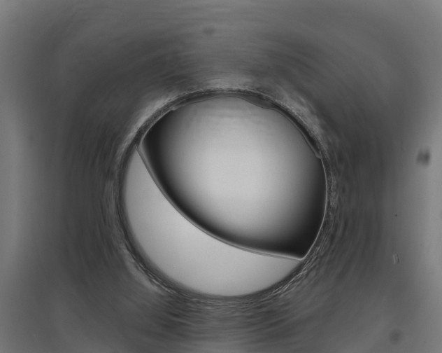 X0000097630060200802290854
