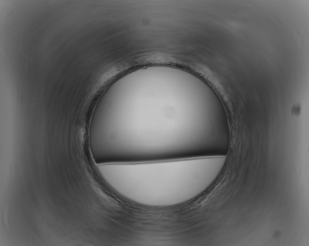X0000097630063200802290854