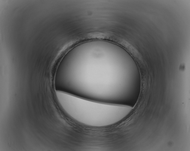 X0000097630064200802290854