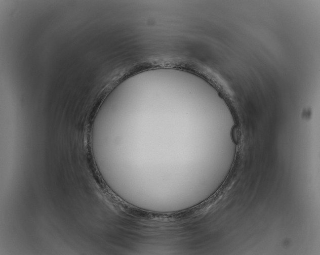 X0000097630065200802290854