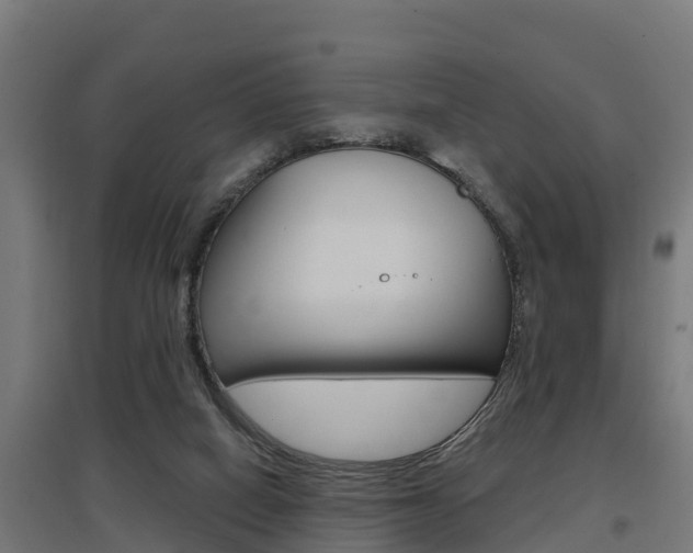 X0000097630066200802290854