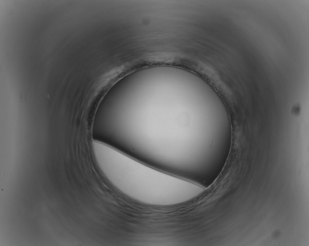 X0000097630068200802290854