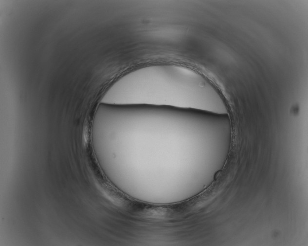 X0000097630069200802290854