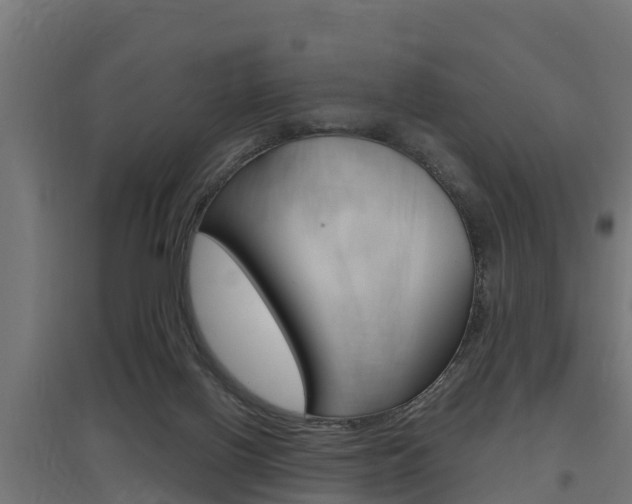 X0000097630070200802290854