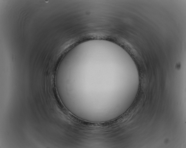 X0000097630071200802290854