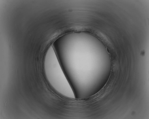 X0000097630072200802290854
