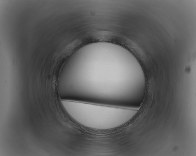 X0000097630073200802290854