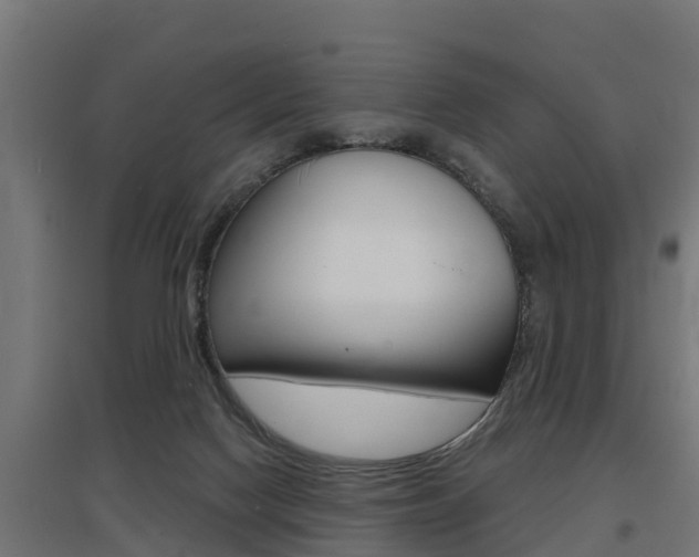 X0000097630074200802290854