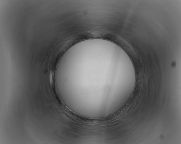 X0000097630075200802290854