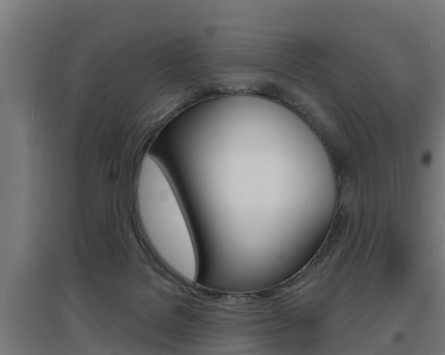 X0000097630076200802290854