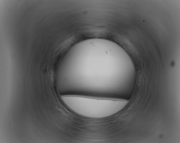 X0000097630077200802290854