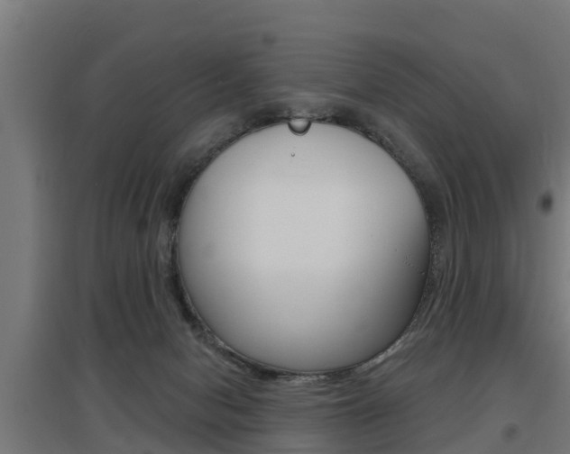 X0000097630078200802290854