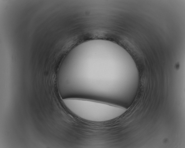 X0000097630079200802290854