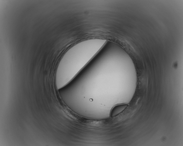 X0000097630081200802290854