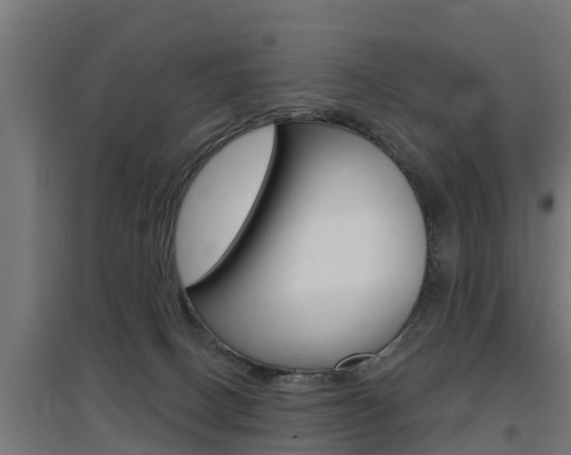 X0000097630082200802290854
