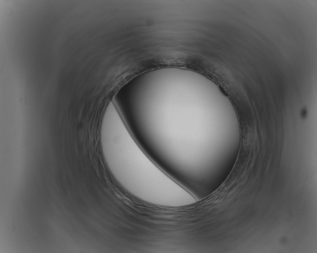 X0000097630084200802290854