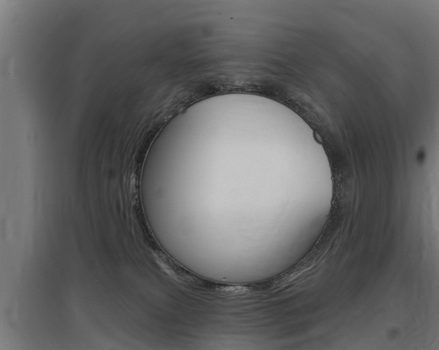 X0000097630087200802290854