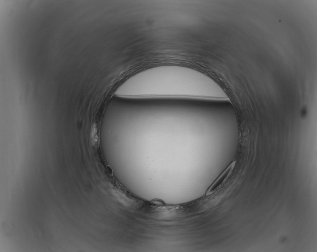 X0000097630089200802290854