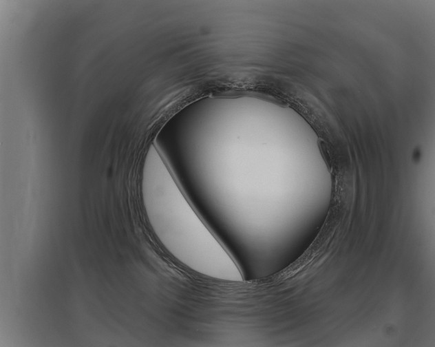 X0000097630092200802290854