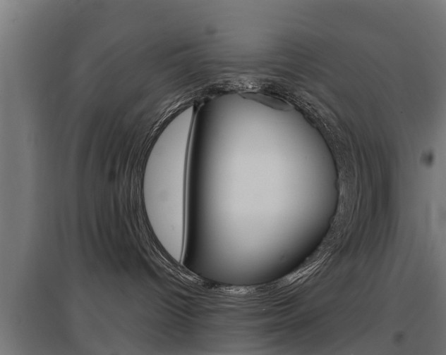 X0000097630096200802290854